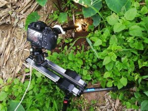 Ống kính Laowa 24mm f/14 2X Macro Probe | Chính Hãng