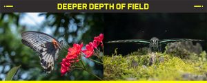Ống kính Laowa 58mm f/2.8 2X Ultra-Macro APO | Chính Hãng